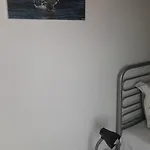 A.m.
