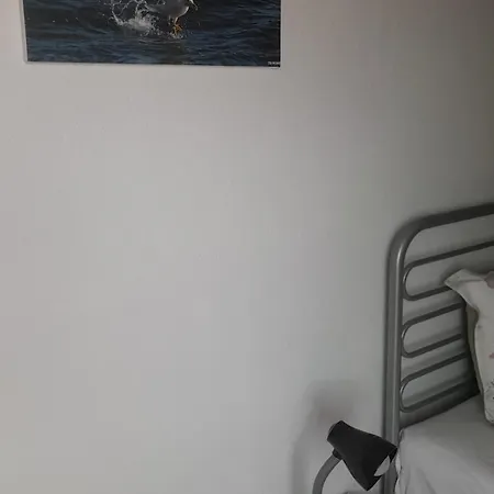 A.m.