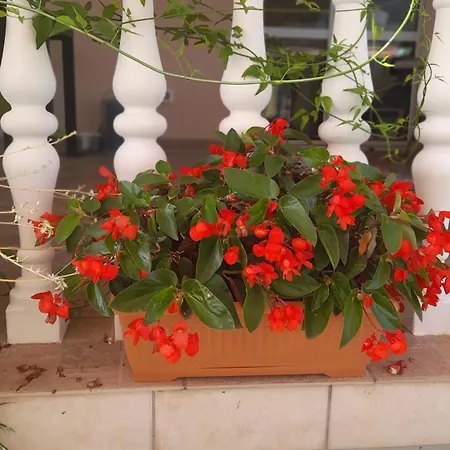 דירה A.m. אורביץ