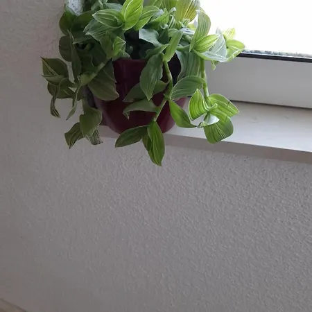 A.m. Appartement Orebić