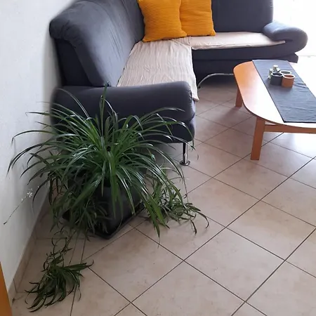 Apartamento A.m. *