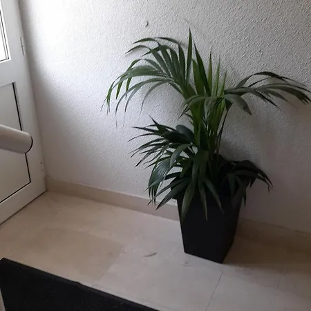 Apartment A.m.