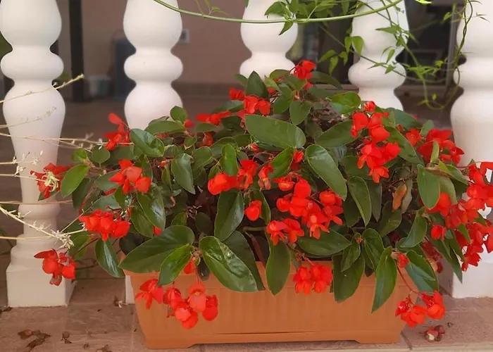 Lägenhet A.m. Orebić