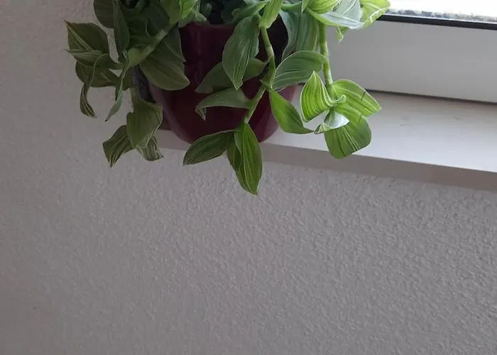 A.m. Lägenhet Orebić